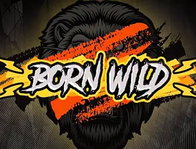 Born Wild  