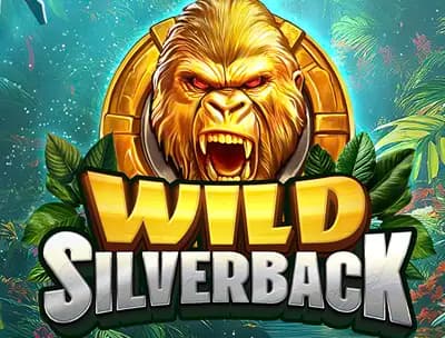 Wild Silverback