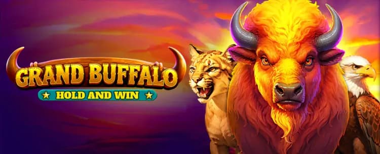 Grand Buffalo Hold and Win