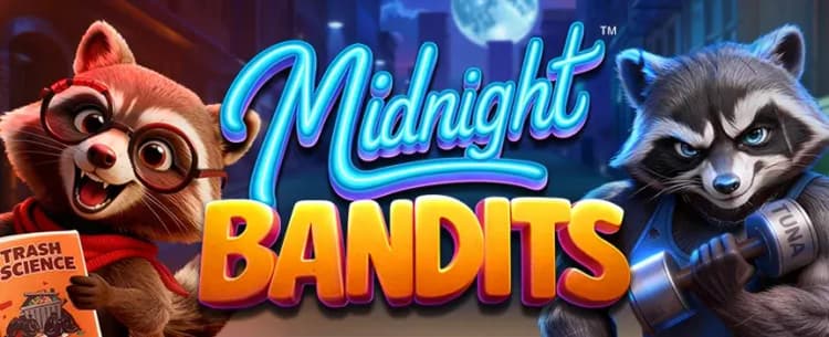 Midnight Bandit