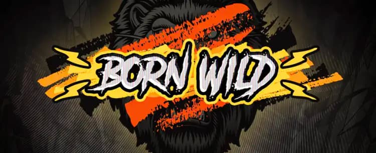 Born Wild 
