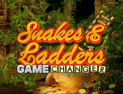 Snakes & Ladder Game Changer 