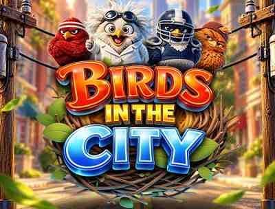 Birds in the city 