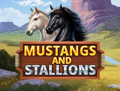 Mustang and Stallions