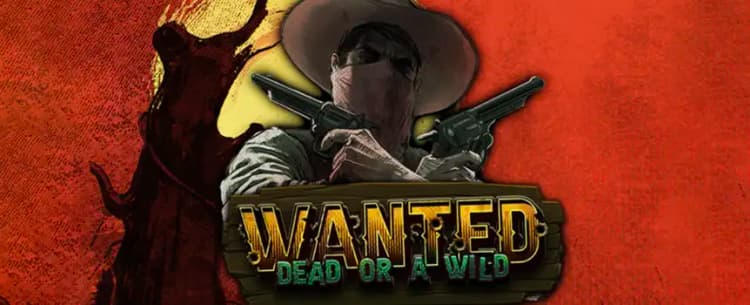 Wanted Dead or a Wild