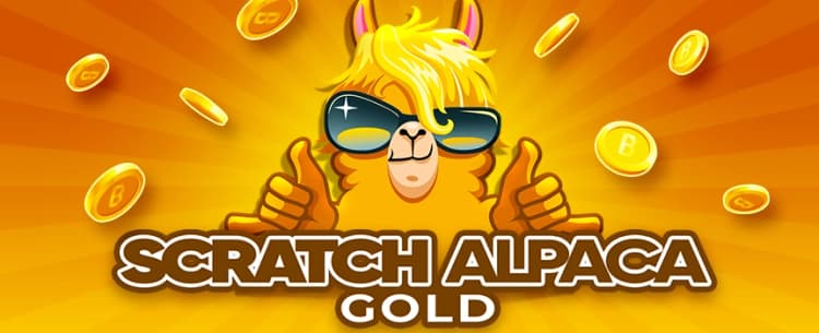 Gold Alpaca 
