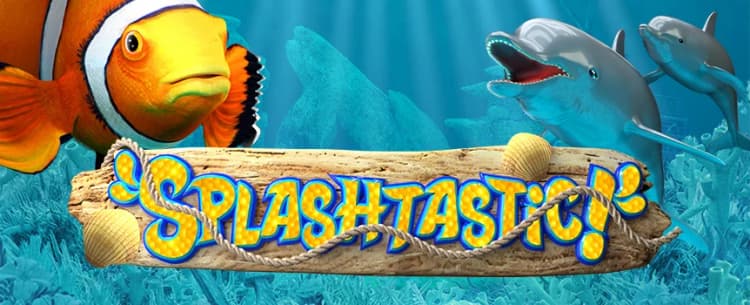 Splashtastic!