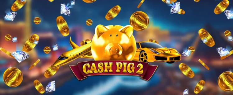 Cash Pig 2 