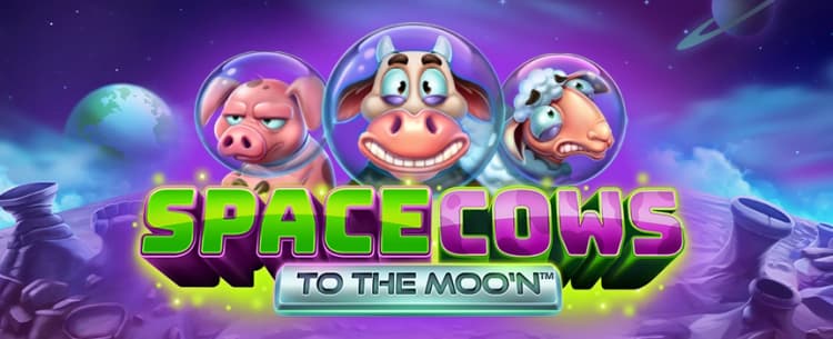 Space Cows to the Moo'n 