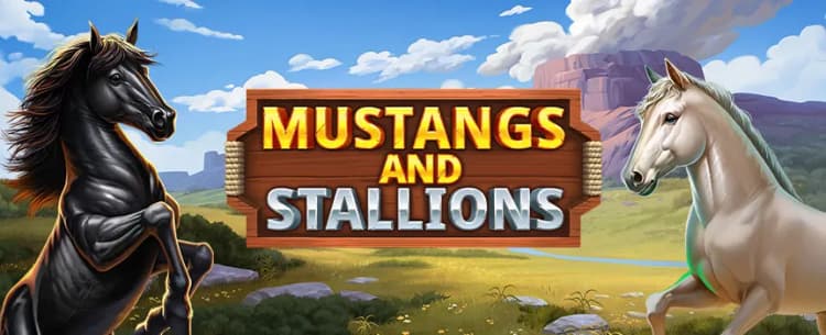 Mustang and Stallions