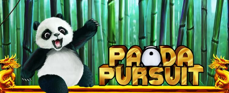 Play Panda Pursuit