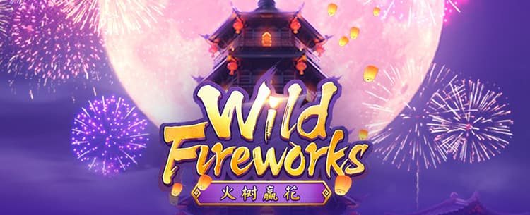 Play Wild Fireworks