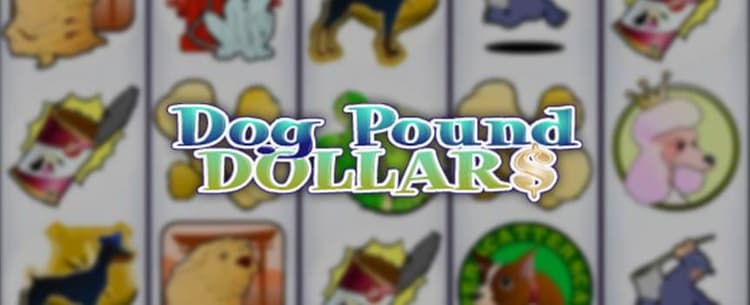 Dog Pound Dollars