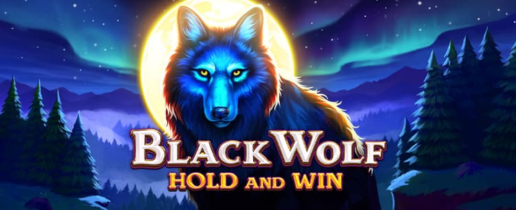Play Black Wolf: Hold and Win at Ozoon Casino